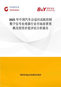 2025年中国汽车自适应巡航控制数字信号处理器行业市场前景预测及投资价值评估分析报告