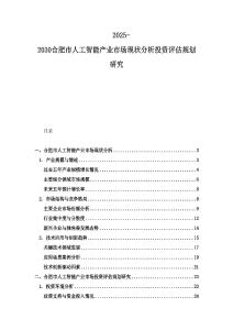 2025-2030合肥市人工智能产业市场现状分析投资评估规划研究