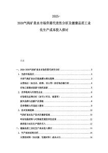 2025-2030气构矿泉水市场供需代表性分析及健康品质工业化生产成本投入探讨
