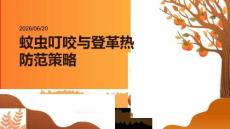 蚊蟲叮咬與登革熱防范策略