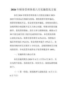 2026年财务管理体系六月实施优化方案
