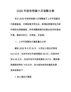 2026年财务预算六月调整方案