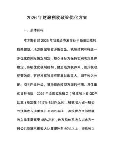 2026年財政稅收政策優化方案