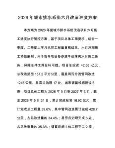 2026年城市排水系統六月改造進度方案