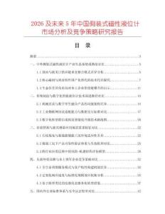 2026及未來5年中國側裝式磁性液位計市場分析及競爭策略研究報告