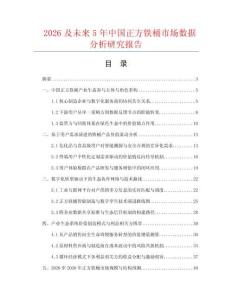 2026及未来5年中国正方铁桶市场数据分析研究报告