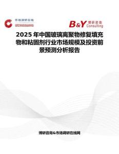 2025年中國玻璃離聚物修復填充物和粘固劑行業市場規模及投資前景預測分析報告