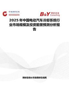 2025年中國(guó)電動(dòng)汽車(chē)?yán)鋮s系統(tǒng)行業(yè)市場(chǎng)規(guī)模及投資前景預(yù)測(cè)分析報(bào)告