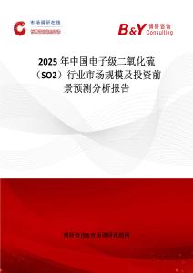 2025年中国电子级二氧化硫（SO2）行业市场规模及投资前景预测分析报告