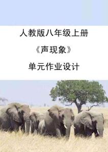 人教版八上物理《聲現象》 (4)