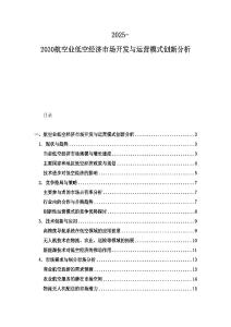 2025-2030航空业低空经济市场开发与运营模式创新分析