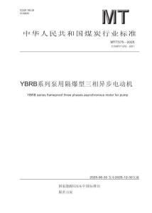 MT_T 575-2025YBRB系列泵用隔爆型三相异步电动机