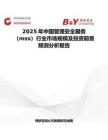 2025年中国管理安全服务（mss）行业市场规模及投资前景预测分析报告