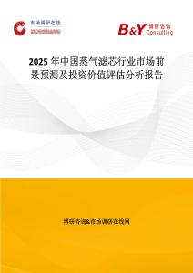 2025年中國蒸氣濾芯行業市場前景預測及投資價值評估分析報告
