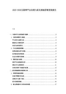 2025-2030互联网平台治理与意见领袖营销变现报告