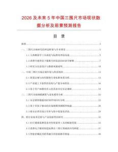 2026及未来5年中国三围尺市场现状数据分析及前景预测报告