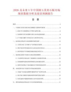 2026及未來5年中國剛玉莫來石板市場現狀數據分析及前景預測報告