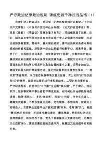政治纪律研讨发言材料（新栏目）