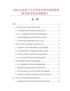 2026及未來5年中國寄車牌市場現(xiàn)狀數(shù)據(jù)分析及前景預(yù)測報(bào)告