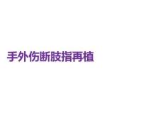手外伤断肢指再植PPT课件
