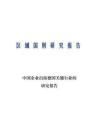 中国企业出海德国关键行业的研究报告 2026