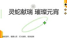 房地產(chǎn)活動(dòng)策劃 -2025蛇年元宵節(jié)花燈廟會(huì)（靈蛇獻(xiàn)瑞 璀璨元宵主題）活動(dòng)策劃方案