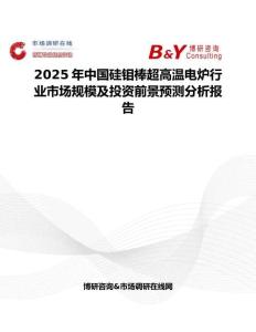 2025年中國硅鉬棒超高溫電爐行業市場規模及投資前景預測分析報告