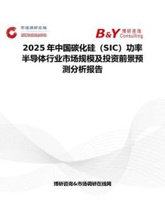 2025年中國碳化硅（SIC）功率半導(dǎo)體行業(yè)市場規(guī)模及投資前景預(yù)測分析報(bào)告