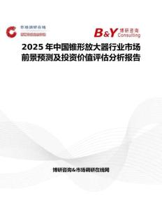 2025年中國錐形放大器行業市場前景預測及投資價值評估分析報告