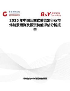 2025年中国活塞式蓄能器行业市场前景预测及投资价值评估分析报告