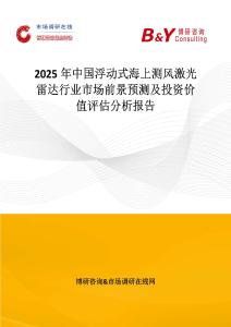2025年中国浮动式海上测风激光雷达行业市场前景预测及投资价值评估分析报告
