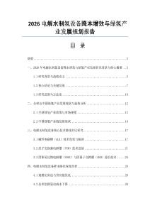 2026電解水制氫設備降本增效與綠氫產業發展規劃報告