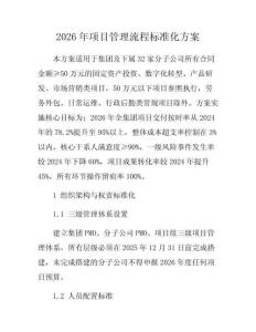 2026年項目管理流程標準化方案
