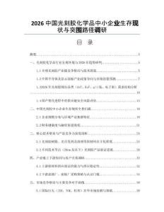 2026中國光刻膠化學品中小企業生存現狀與突圍路徑調研