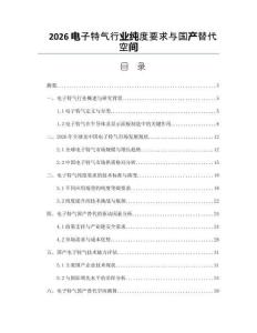 2026電子特氣行業(yè)純度要求與國(guó)產(chǎn)替代空間