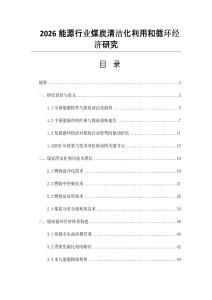 2026能源行業(yè)煤炭清潔化利用和循環(huán)經(jīng)濟(jì)研究