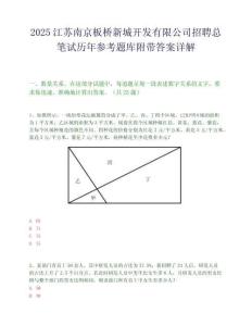 2025江蘇南京板橋新城開發有限公司招聘總筆試歷年參考題庫附帶答案詳解