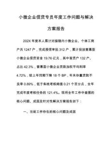小微企業(yè)信貸專員年度工作問題與解決方案報告