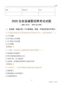 2025臺安輔警試題