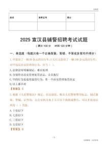 2025宣漢輔警試題