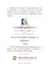 山东凯盛新材料股份有限公司招股说明书