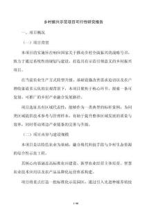 乡村振兴示范项目可行性研究报告