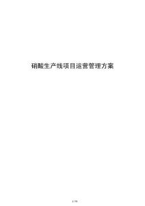 硝酸生產(chǎn)線項目運營管理方案