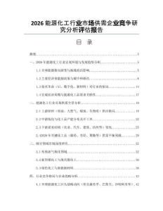 2026能源化工行業市場供需企業競爭研究分析評估報告
