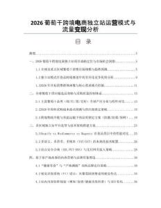 2026葡萄干跨境電商獨立站運營模式與流量變現(xiàn)分析
