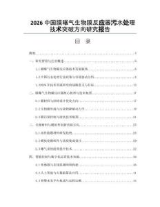 2026中国膜曝气生物膜反应器污水处理技术突破方向研究报告