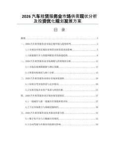 2026汽車租賃服務業市場供需現狀分析及投資優化規劃發展方案