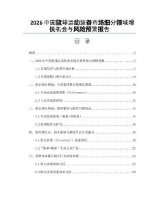 2026中國籃球運動裝備市場細分領域增長機會與風險預警報告