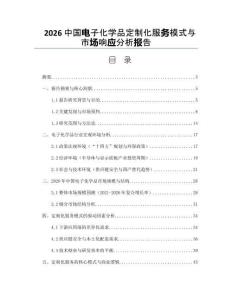 2026中國電子化學品定制化服務模式與市場響應分析報告