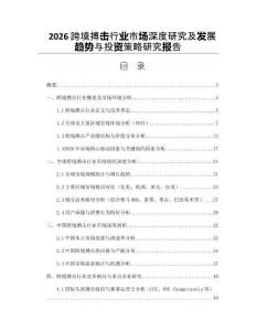 2026跨境搏擊行業市場深度研究及發展趨勢與投資策略研究報告